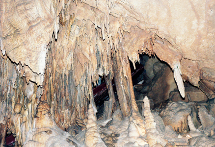 [A well-lit view of stalactites meeting stalagmites and many of each separately in the creamy white-brown rock.]